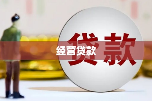 泸西经营贷款