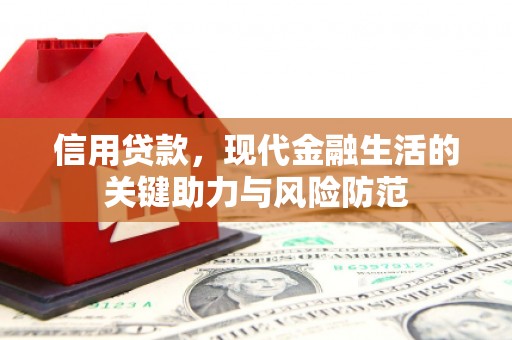 泸西信用贷款，现代金融生活的关键助力与风险防范