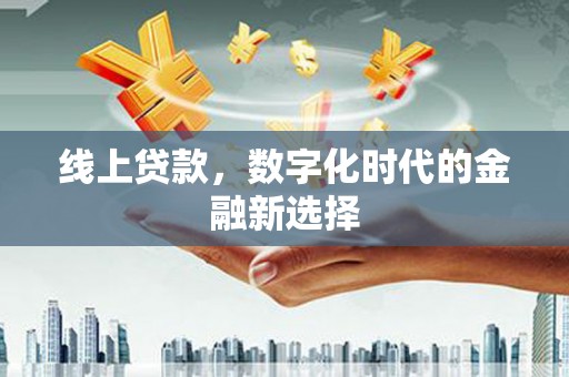 泸西线上贷款，数字化时代的金融新选择