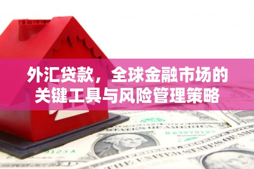 泸西外汇贷款，全球金融市场的关键工具与风险管理策略