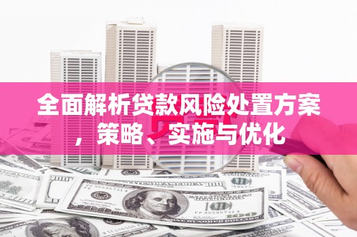 泸西全面解析贷款风险处置方案，策略、实施与优化