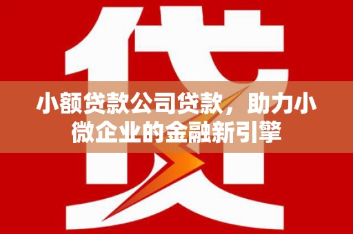 泸西小额贷款公司贷款，助力小微企业的金融新引擎