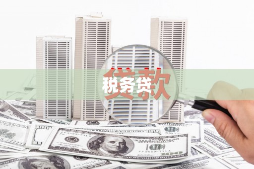 泸西税务贷