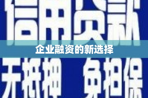 泸西企业融资的新选择