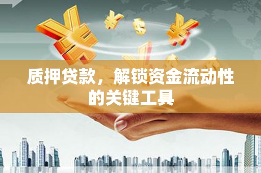 泸西质押贷款，解锁资金流动性的关键工具