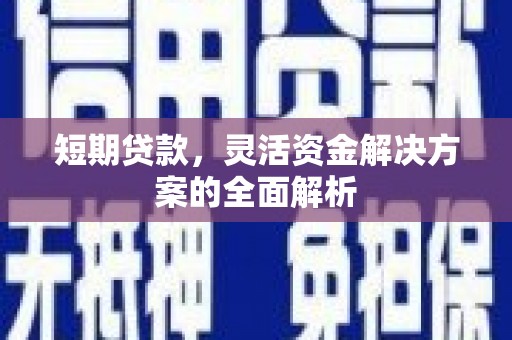 泸西短期贷款，灵活资金解决方案的全面解析