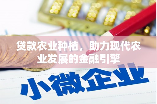 泸西贷款农业种植，助力现代农业发展的金融引擎