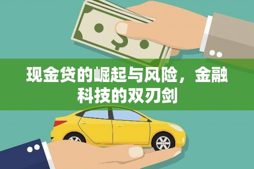泸西现金贷的崛起与风险，金融科技的双刃剑