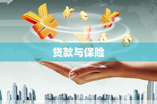 泸西贷款与保险