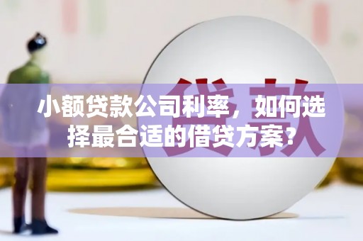 泸西小额贷款公司利率，如何选择最合适的借贷方案？
