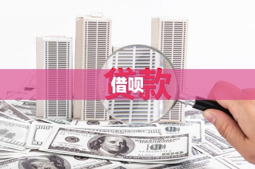 泸西借呗