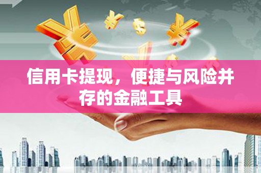 泸西信用卡提现，便捷与风险并存的金融工具