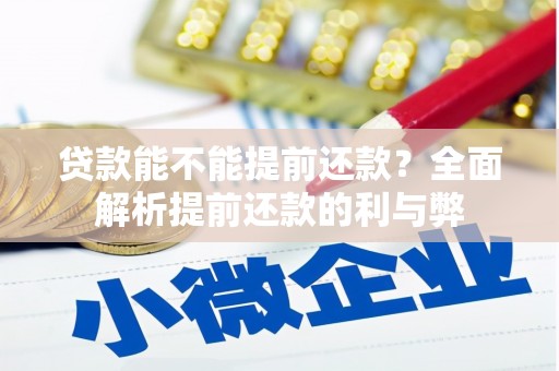 泸西贷款能不能提前还款？全面解析提前还款的利与弊