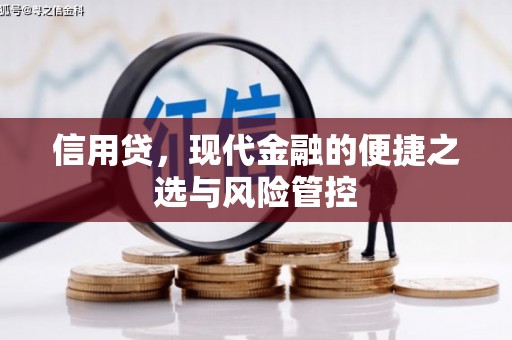 泸西信用贷，现代金融的便捷之选与风险管控