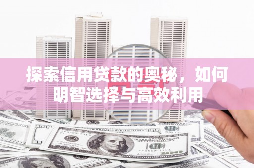 泸西探索信用贷款的奥秘，如何明智选择与高效利用