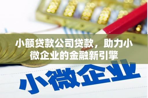 泸西小额贷款公司贷款，助力小微企业的金融新引擎