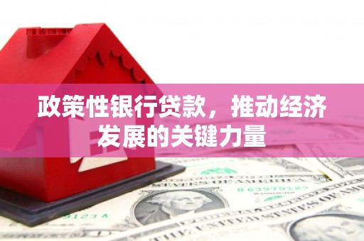 泸西政策性银行贷款，推动经济发展的关键力量