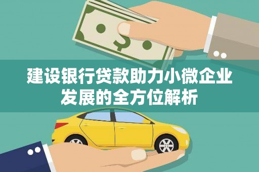 泸西建设银行贷款助力小微企业发展的全方位解析