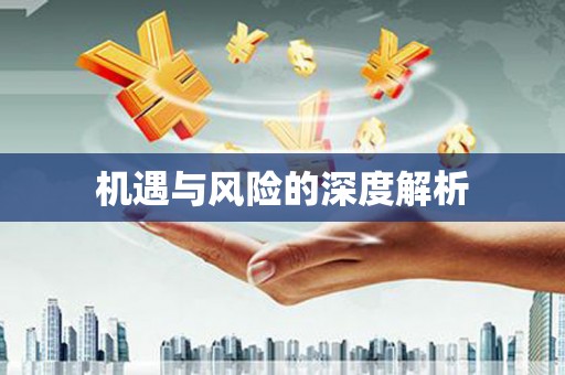 泸西机遇与风险的深度解析
