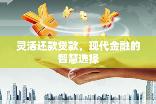 泸西灵活还款贷款，现代金融的智慧选择