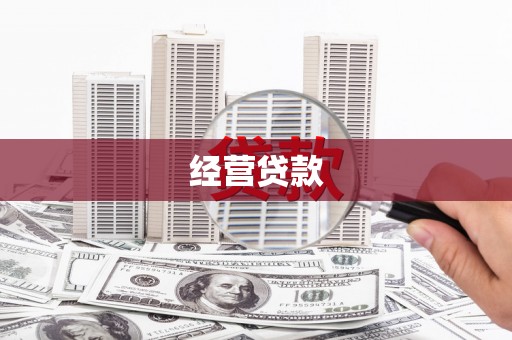 泸西经营贷款