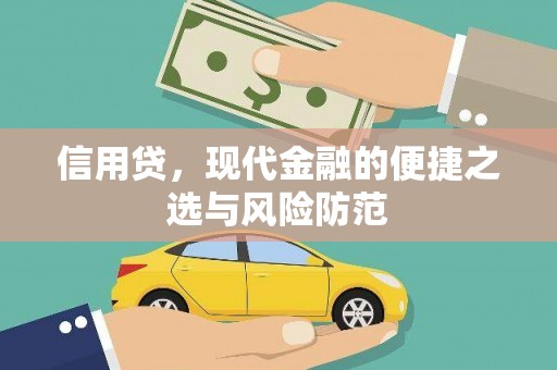 泸西信用贷，现代金融的便捷之选与风险防范