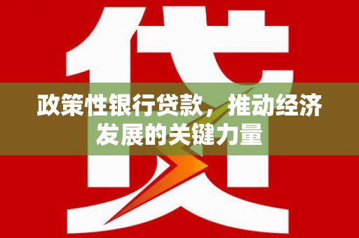 泸西政策性银行贷款，推动经济发展的关键力量