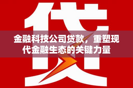 泸西金融科技公司贷款，重塑现代金融生态的关键力量