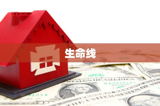 泸西生命线