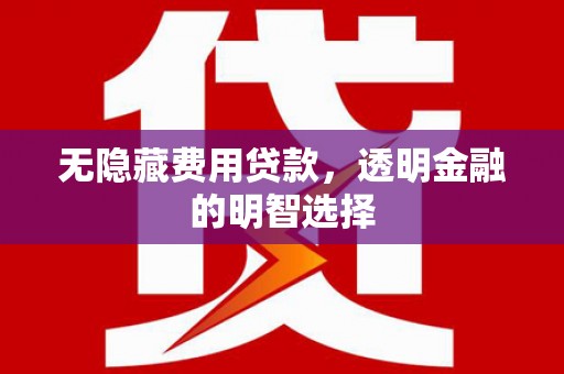 泸西无隐藏费用贷款，透明金融的明智选择