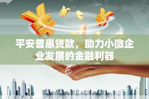 泸西平安普惠贷款，助力小微企业发展的金融利器