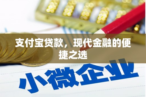 泸西支付宝贷款，现代金融的便捷之选