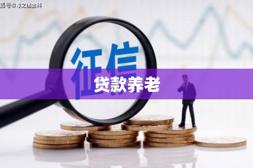 泸西贷款养老