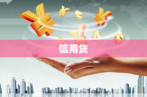 泸西信用贷
