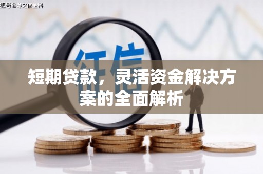 泸西短期贷款，灵活资金解决方案的全面解析
