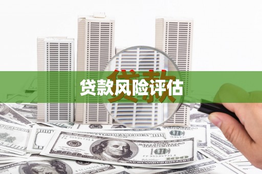 泸西贷款风险评估