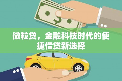 泸西微粒贷，金融科技时代的便捷借贷新选择