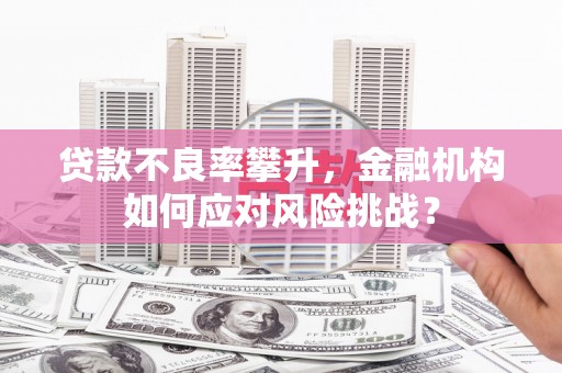 泸西贷款不良率攀升，金融机构如何应对风险挑战？