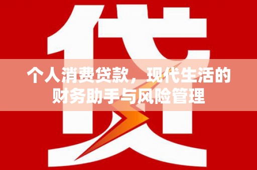 泸西个人消费贷款，现代生活的财务助手与风险管理