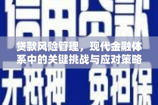 泸西贷款风险管理，现代金融体系中的关键挑战与应对策略