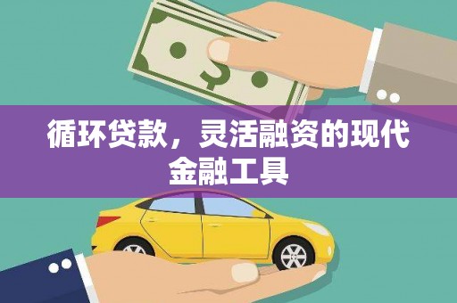泸西循环贷款，灵活融资的现代金融工具