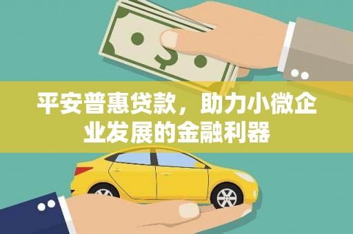 泸西平安普惠贷款，助力小微企业发展的金融利器