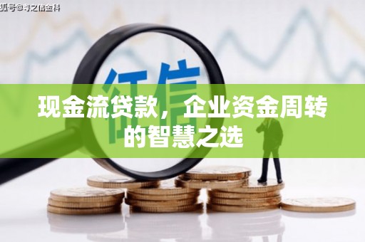泸西现金流贷款，企业资金周转的智慧之选
