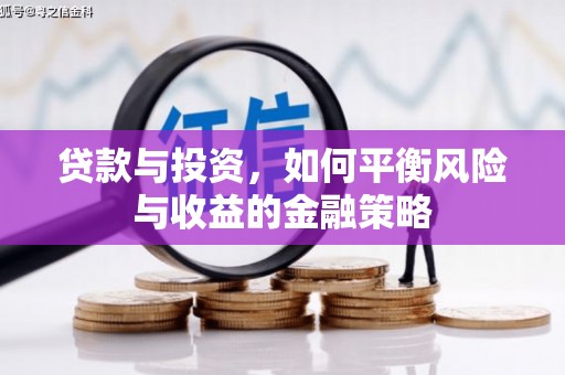 泸西贷款与投资，如何平衡风险与收益的金融策略