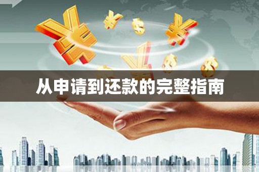 泸西从申请到还款的完整指南