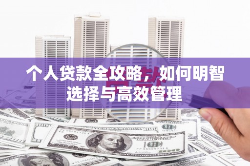 泸西个人贷款全攻略，如何明智选择与高效管理