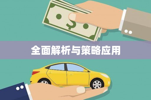 泸西全面解析与策略应用