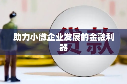 泸西助力小微企业发展的金融利器