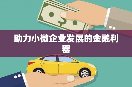 泸西助力小微企业发展的金融利器