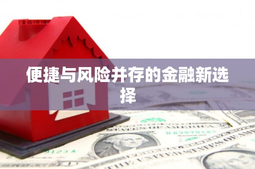 泸西便捷与风险并存的金融新选择